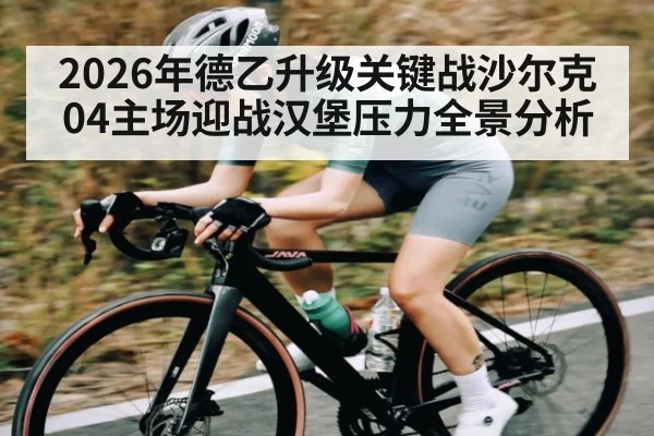 2026年德乙升级关键战沙尔克04主场迎战汉堡压力全景分析